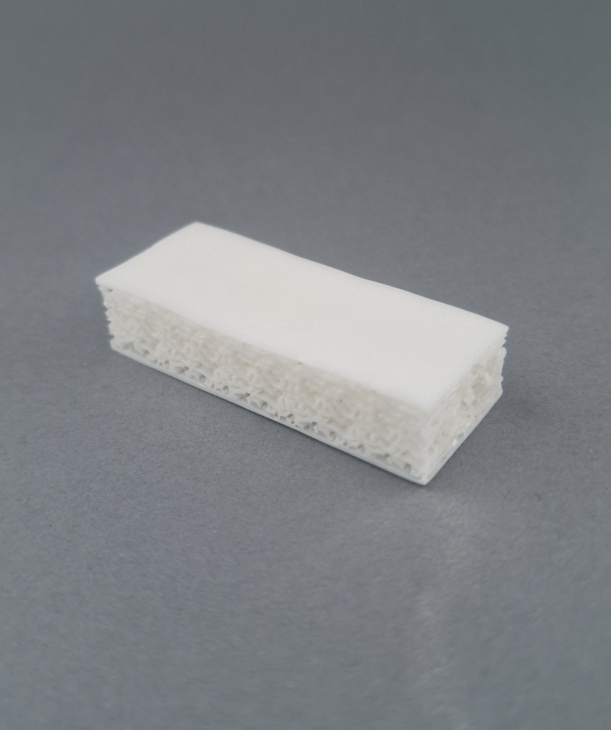 Губчатый блок с двумя кортикальными поверхностями 1х2х4.jpg Губчатый блок с двумя кортикальными поверхностями 1х2х4.jpg