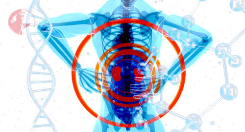 МРТ крестцово подвздошных сочленений МРТ крестцово подвздошных сочленений