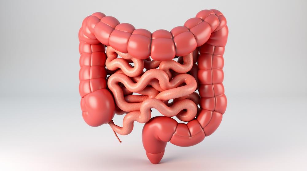 виды операций на кишечнике