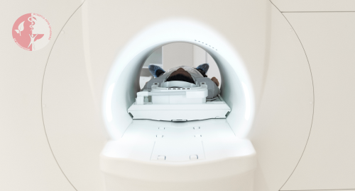 МРТ крестцово подвздошных сочленений МРТ крестцово подвздошных сочленений