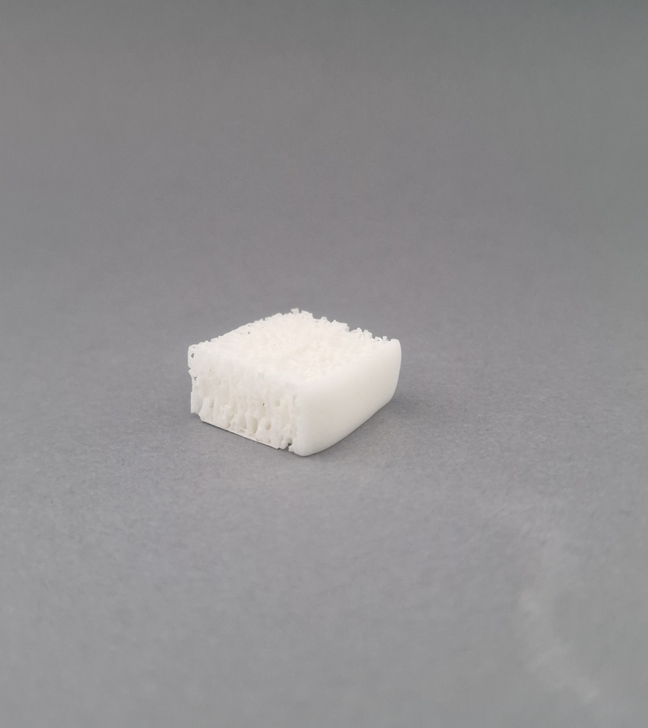 Губчатый блок с одной кортикальной поверхностью 1х2х2.jpg Губчатый блок с одной кортикальной поверхностью 1х2х2.jpg